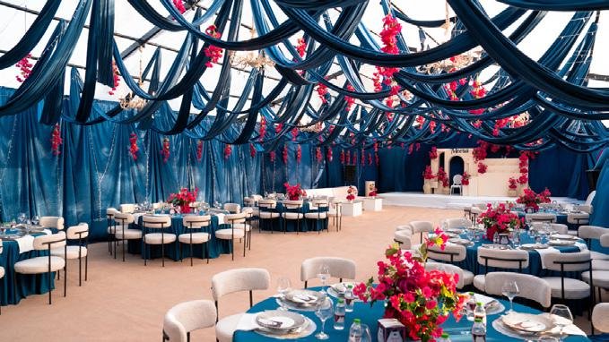 img19 img19